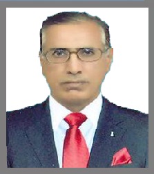 picture of professor Dr. muhammad afzal bs ms economics department preston university kohat karachi pakistan